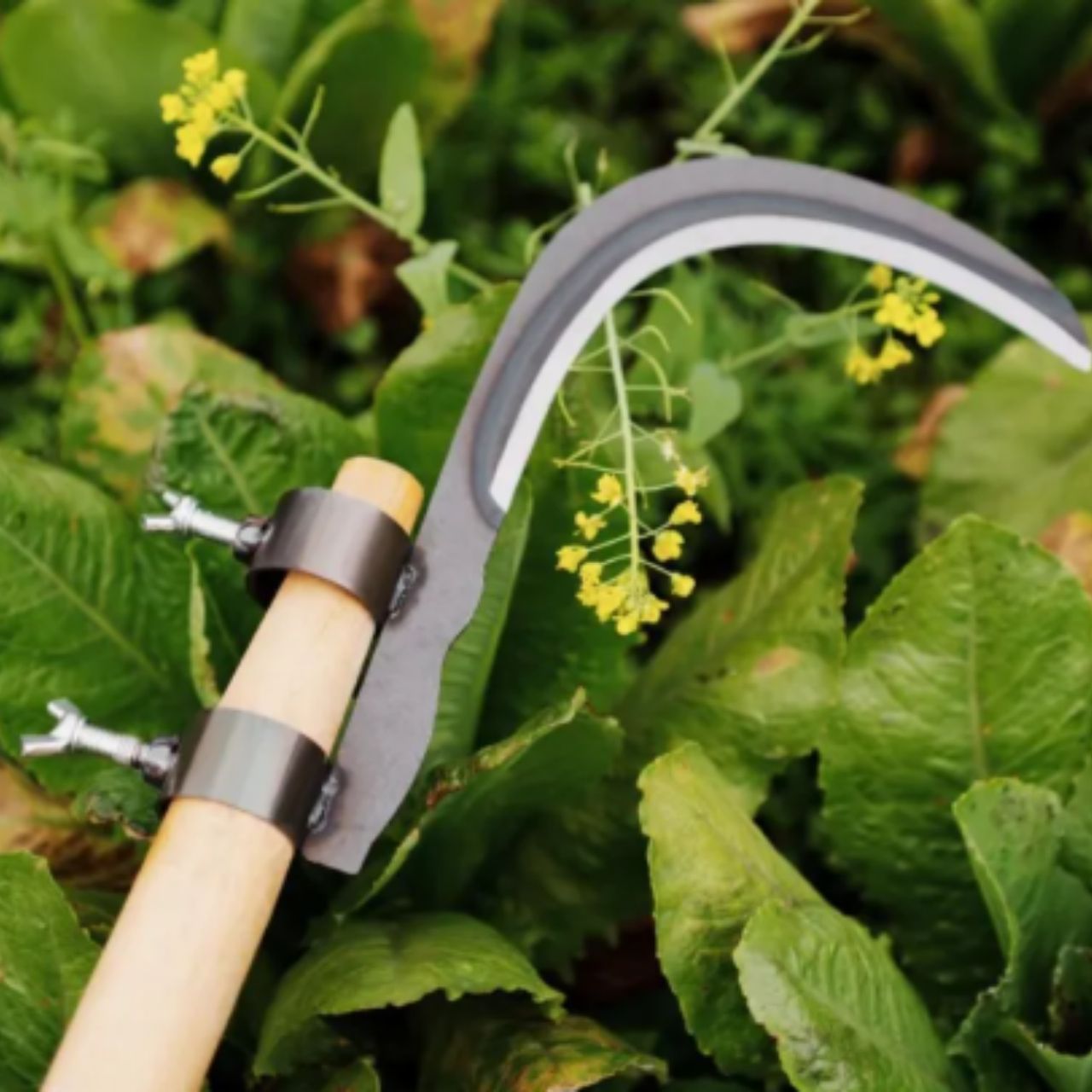 AgroTool, rezač za grane, korov, trnje i vegetaciju - Image 10