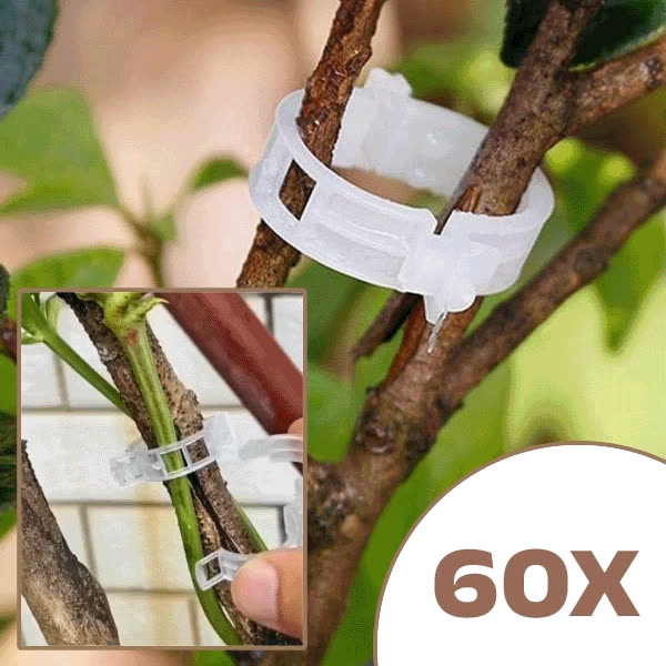PLANTCLIP, GreenGrow Podrška za Biljke - 60 Spenjača - video
