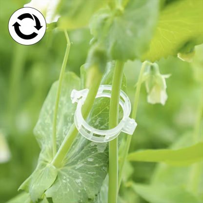 PLANTCLIP, GreenGrow Podrška za Biljke - 60 Spenjača - Image 4