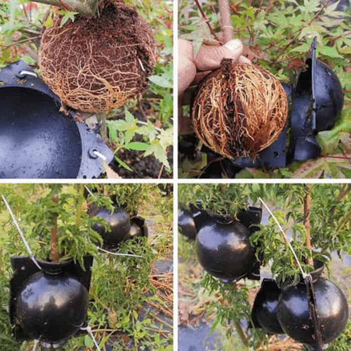 RootBall, alat za uspješno kloniranje biljaka (2 kom.) - Image 5