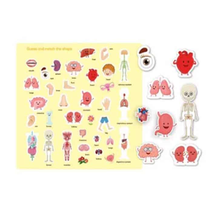 SmartStickers, set od 2 edukativne knjige sa slikama i naljepnicama (dijelovi tijela i karta svijeta) - Image 4