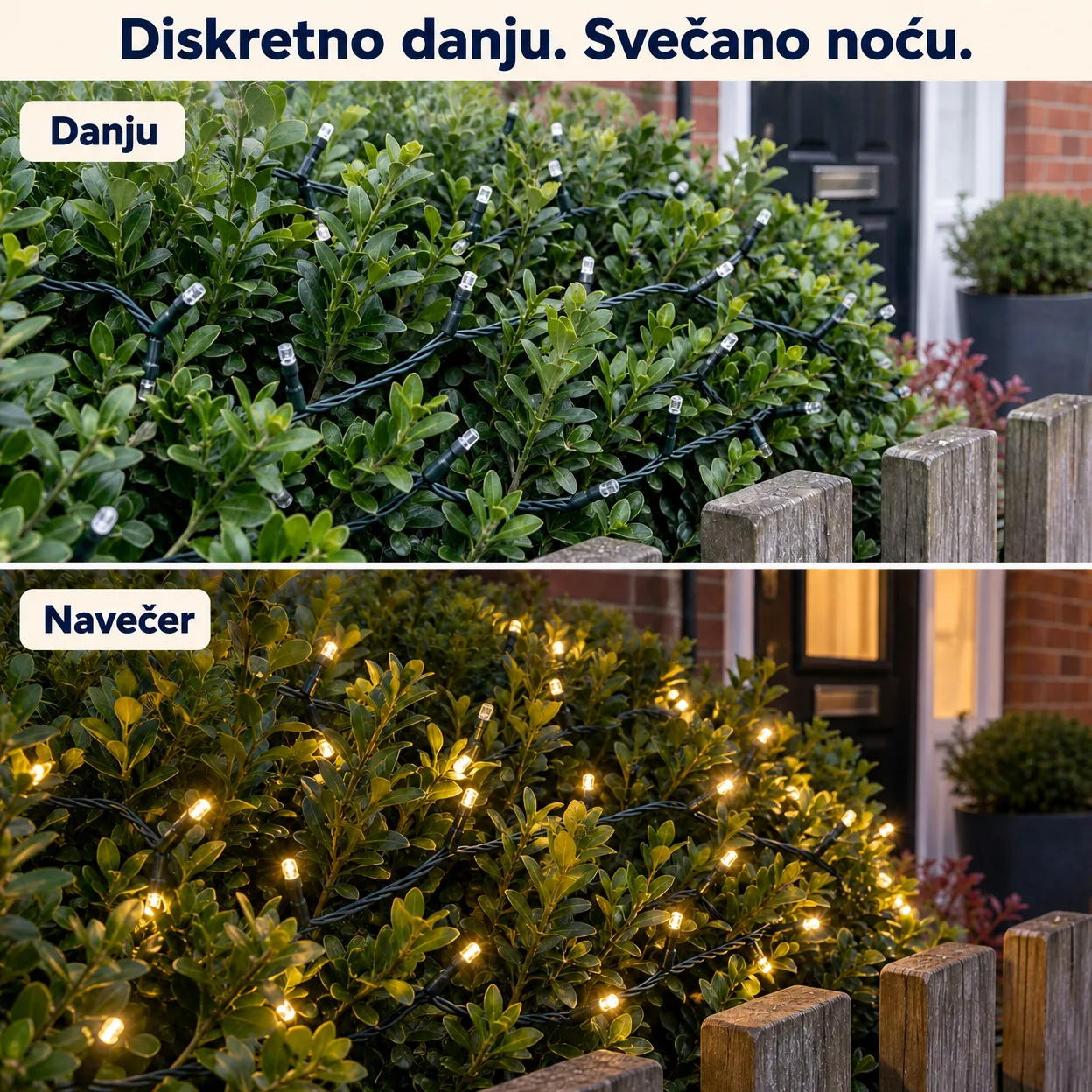 Boja koja očarava