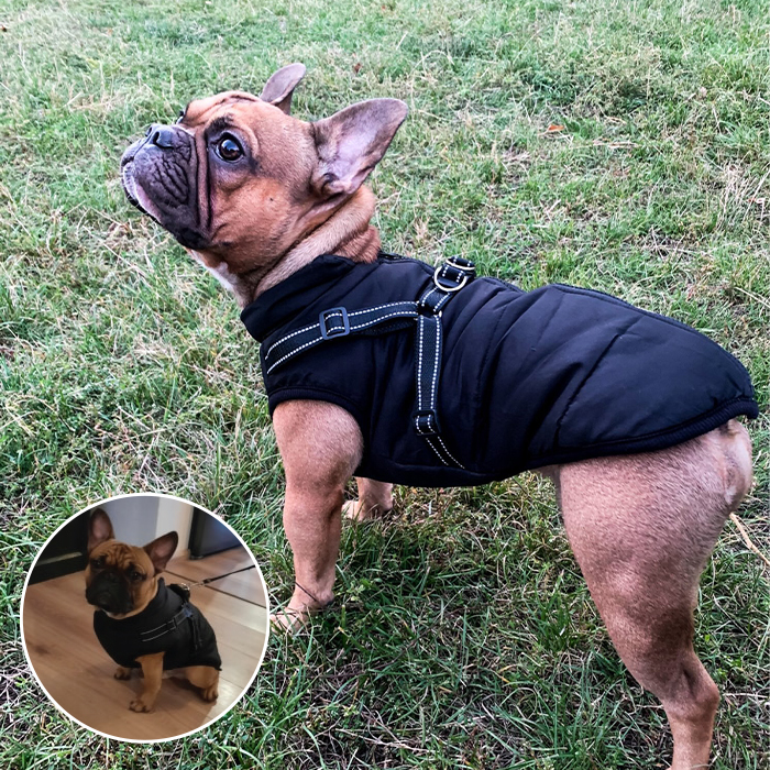 DogJacket, reflektirajući i vodootporni zimski kaput za pse - Image 6