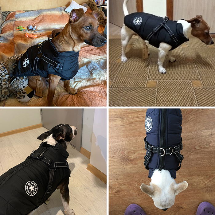 DogJacket, reflektirajući i vodootporni zimski kaput za pse - Image 8
