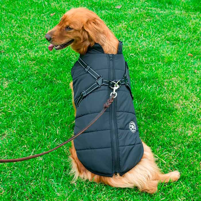 DogJacket, reflektirajući i vodootporni zimski kaput za pse - Image 11